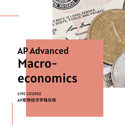 AP Advanced Micro-economics Course - SSAT/SAT Training in Toronto