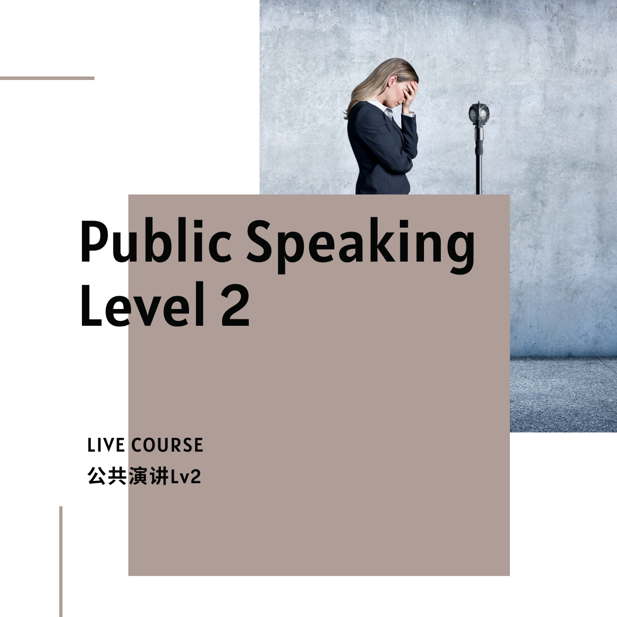 Public Speaking Course 2