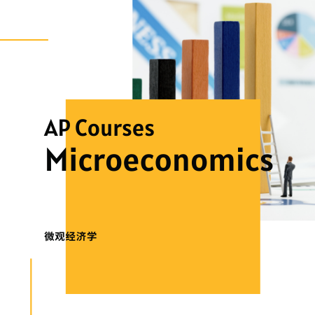 <b>Microeconomics</b>